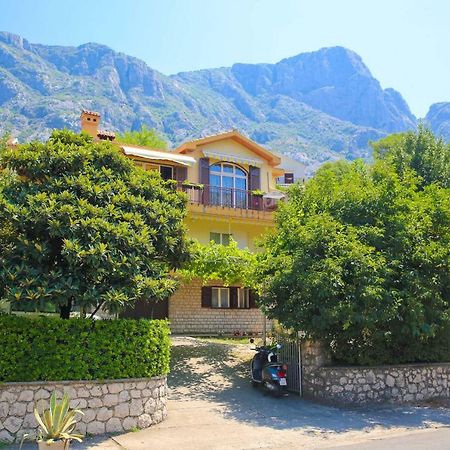 Apartments Nik Kotor Zewnętrze zdjęcie