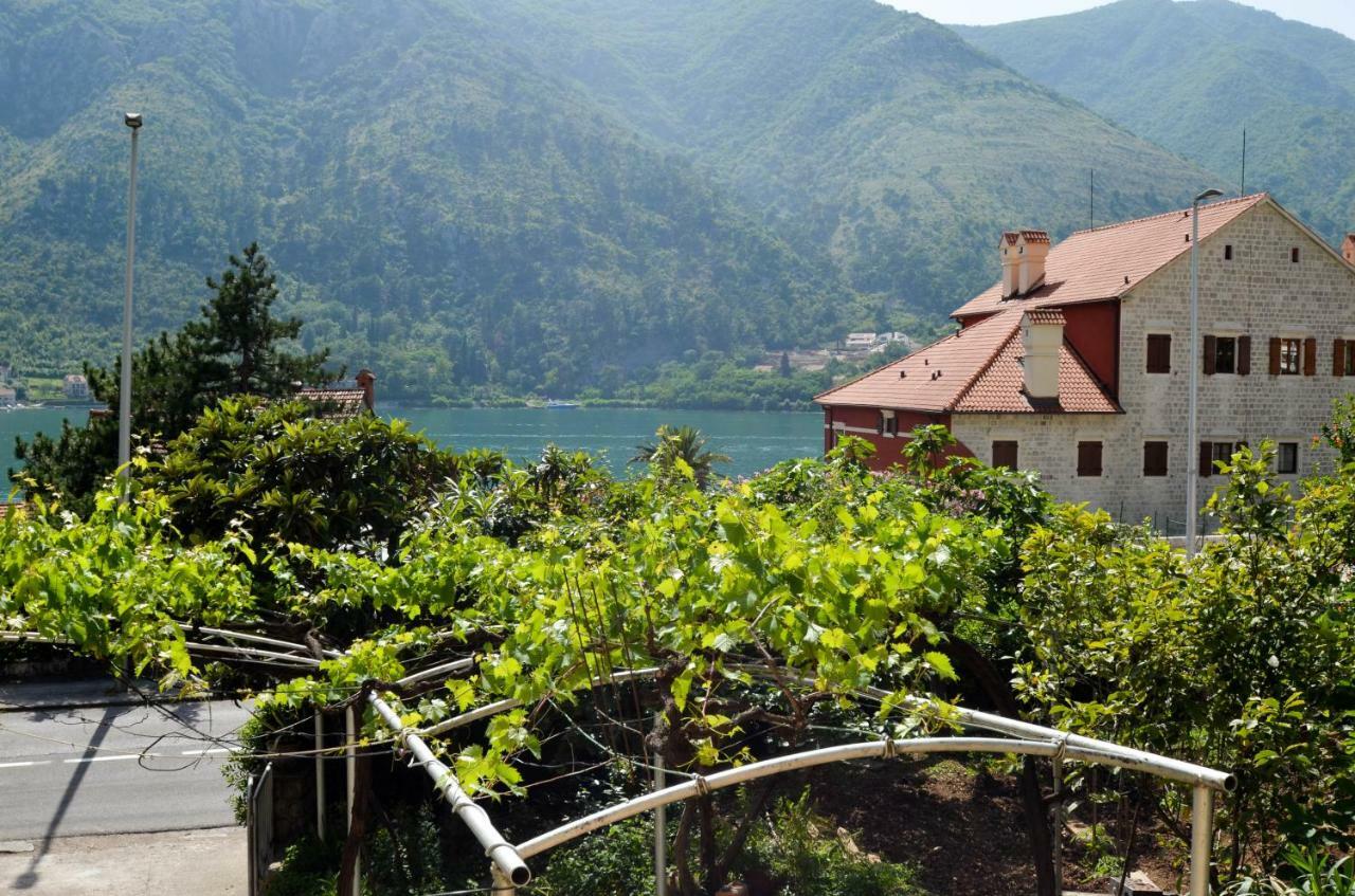 Apartments Nik Kotor Zewnętrze zdjęcie