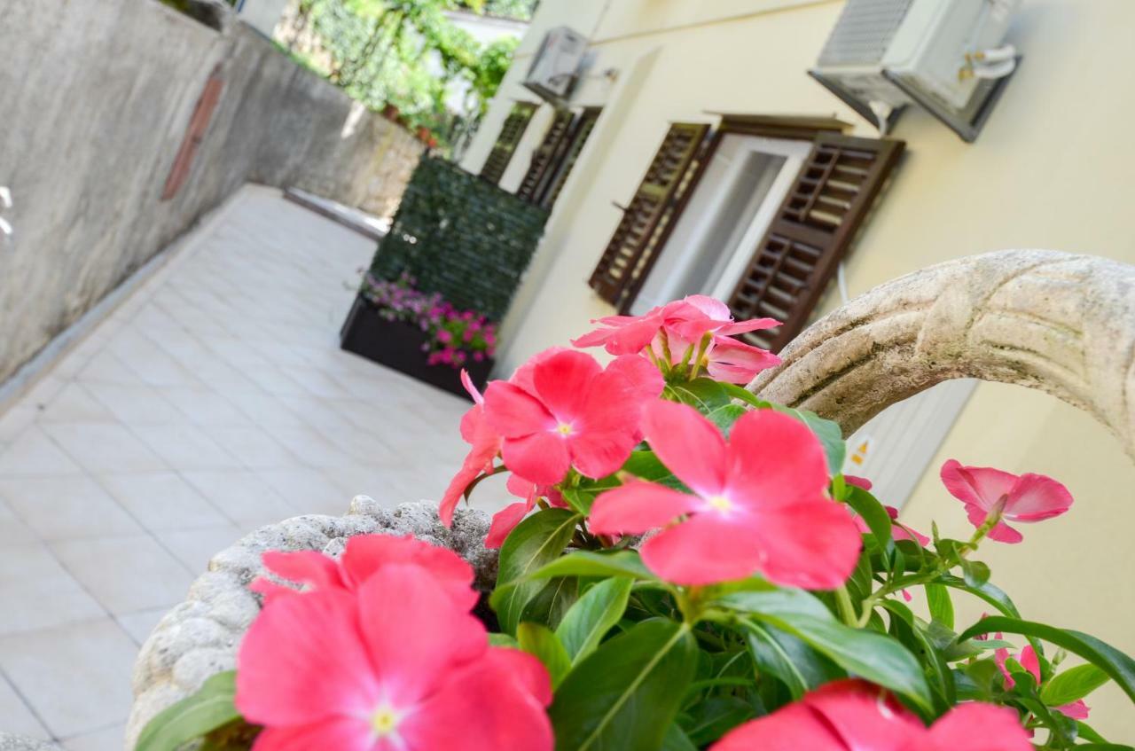 Apartments Nik Kotor Zewnętrze zdjęcie