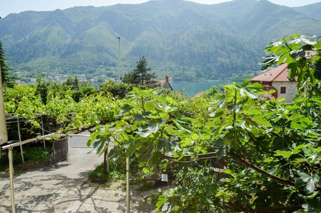 Apartments Nik Kotor Zewnętrze zdjęcie