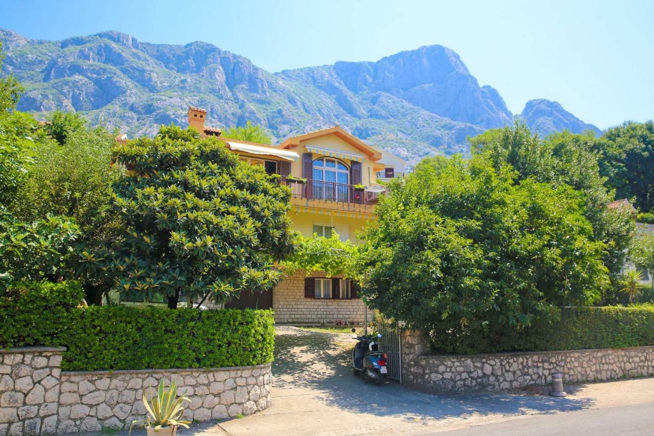 Apartments Nik Kotor Zewnętrze zdjęcie